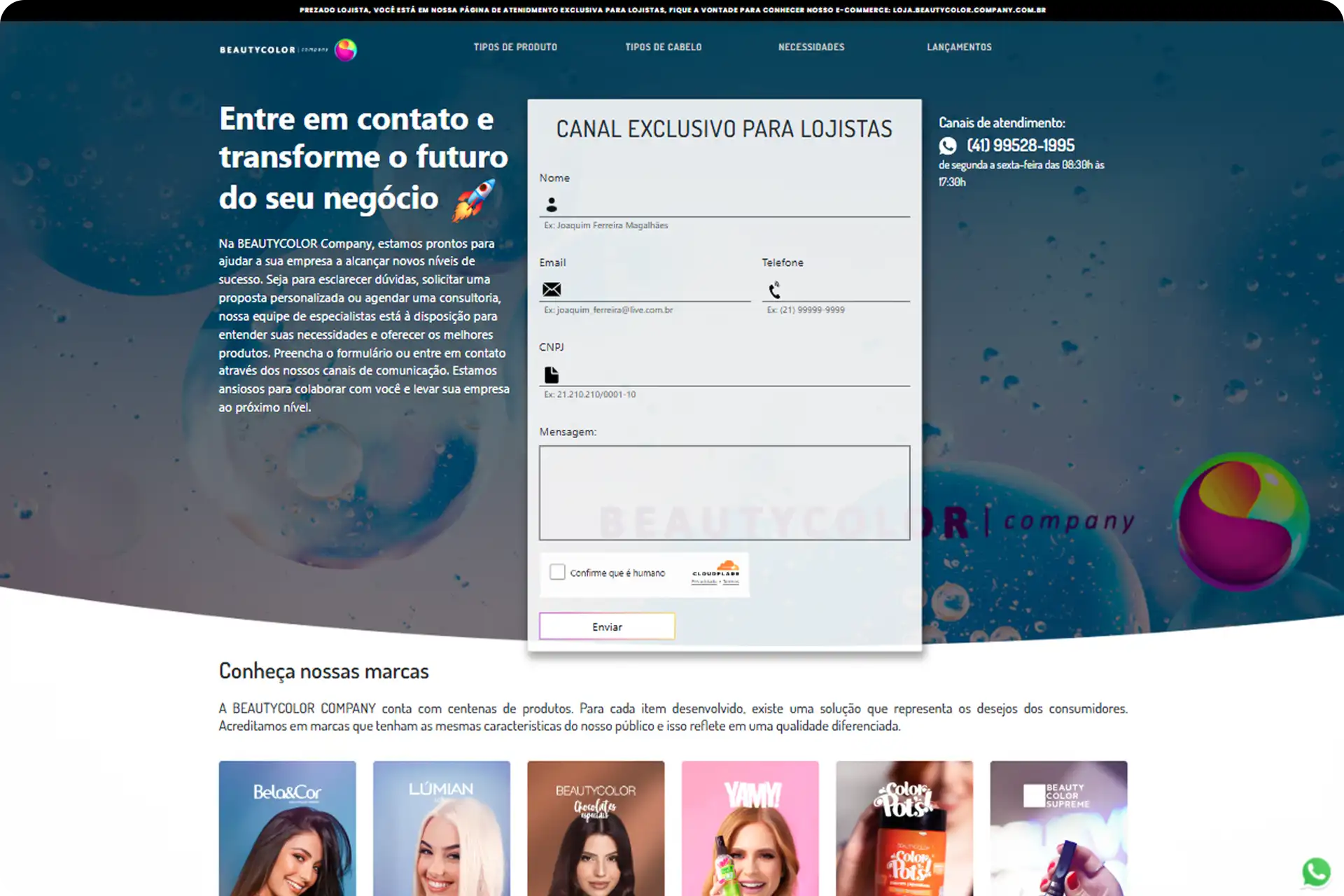 Landing Page Sellers BEAUTYCOLOR Company